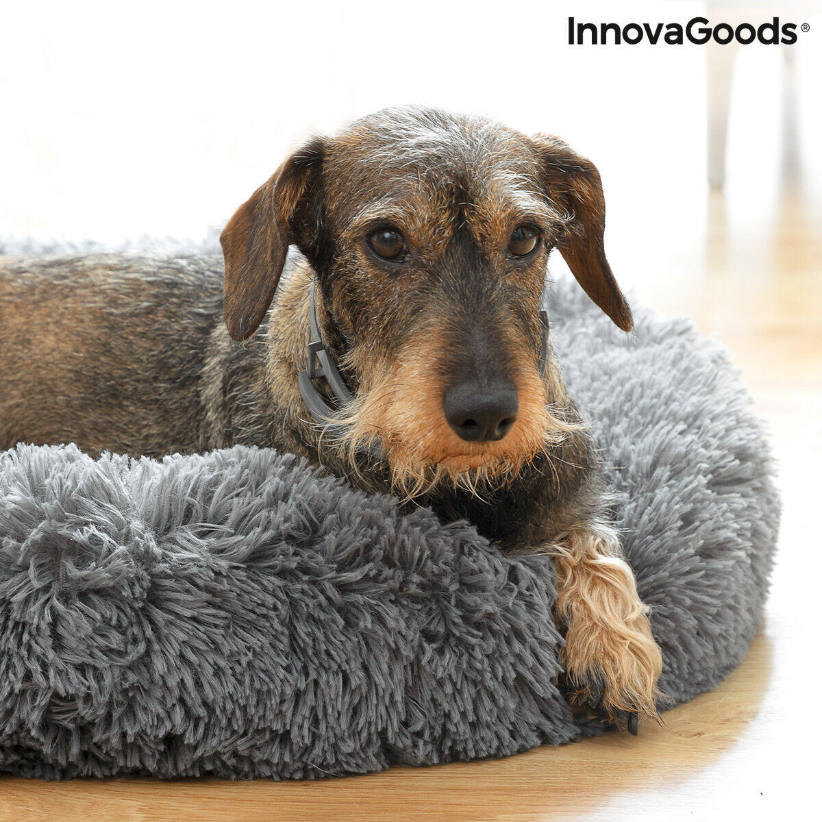 🐾 Cama Antiestrés amigoBed Ø 60 cm – El Refugio Soñado para tu Mejor Amigo
