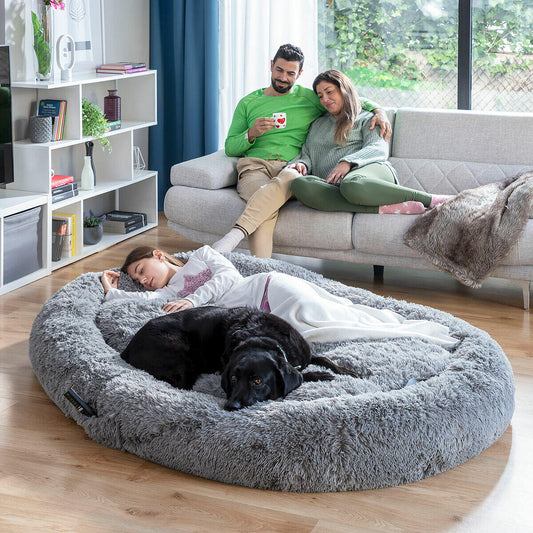 Cama para humanos y perros: ¿Por qué es el accesorio perfecto para ti y tu mascota?