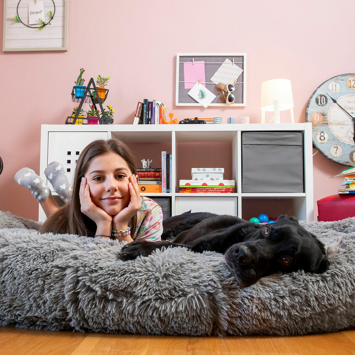 La cama que cambiará tus noches (y las de tu mascota) ❤️🐕 [Gris] | amigoBED