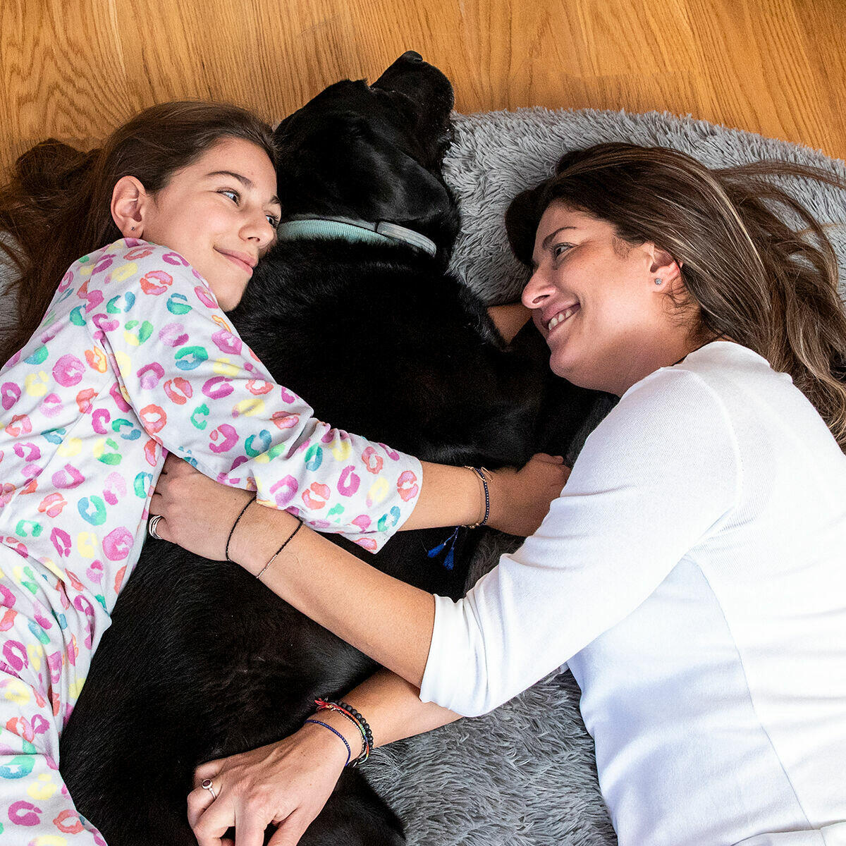 La cama que cambiará tus noches (y las de tu mascota) ❤️🐕 [Gris] | amigoBED