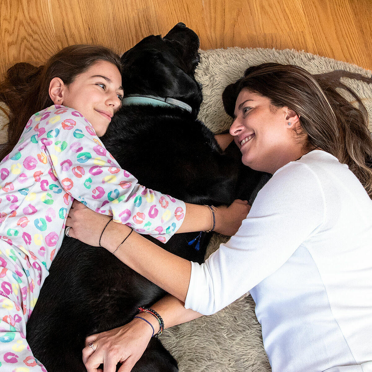 amigoBED: La cama XXL para humanos que compartirás con tu perro, tu gato... ¡o quien tú quieras! 🐾❤️ [Color Beige]