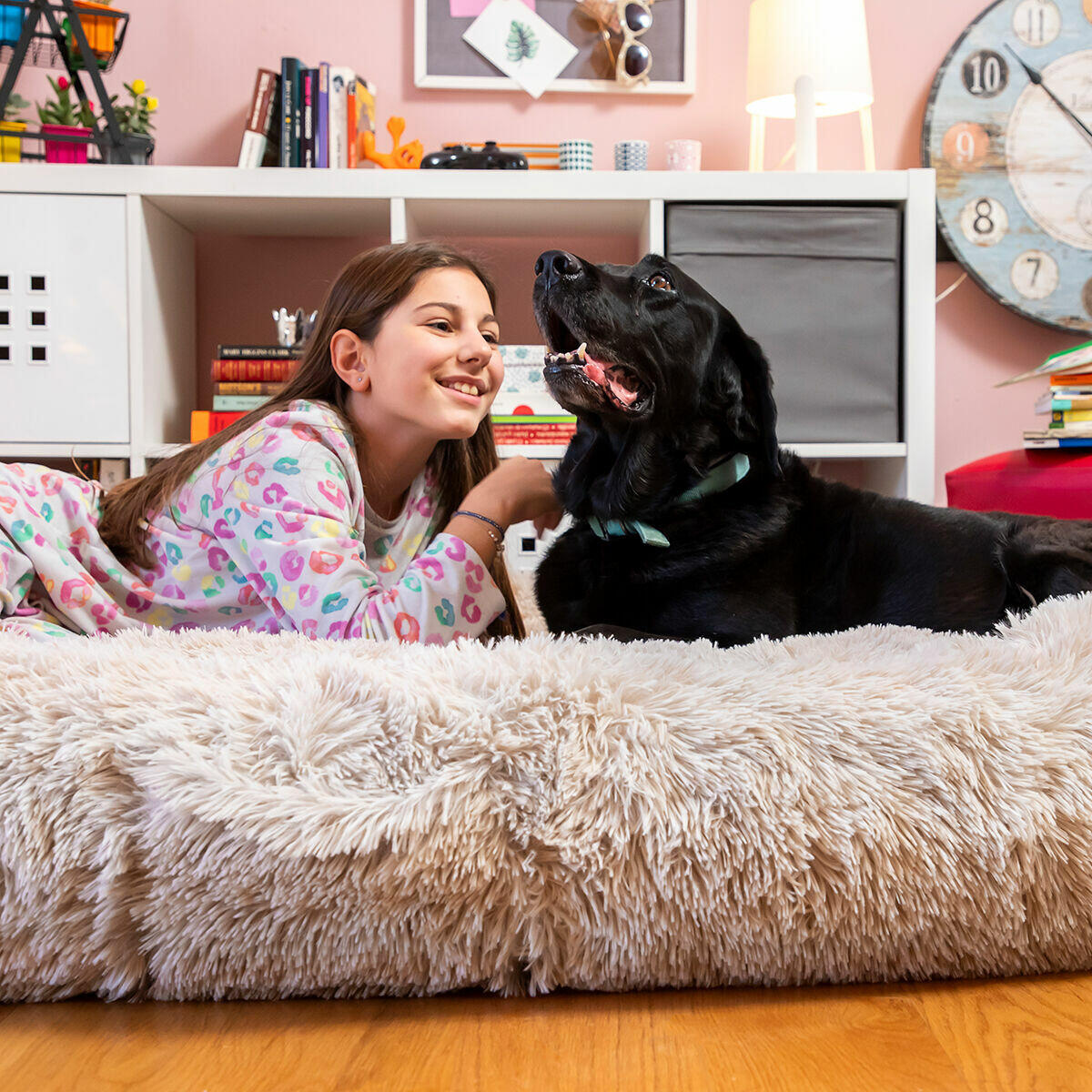 La cama que cambiará tus noches (y las de tu mascota) ❤️🐕 [Beige] | amigoBED